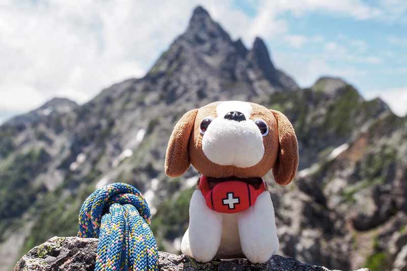 山を愛する人々の相互扶助精神に基づく新しい山岳遭難対策制度のイメージ画像